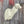 Load image into Gallery viewer, Semi Upright Offset Whitetail Forms - McCredie Series