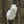Load image into Gallery viewer, Semi Upright Offset Whitetail Forms - McCredie Series