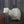 Load image into Gallery viewer, Full Sneak Offset Shoulder Whitetail Forms - McCredie Series