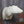 Load image into Gallery viewer, Full Sneak Offset Shoulder Whitetail Forms - McCredie Series