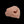 Load image into Gallery viewer, Champions Choice Whitetail Deer Nose Pad Reference