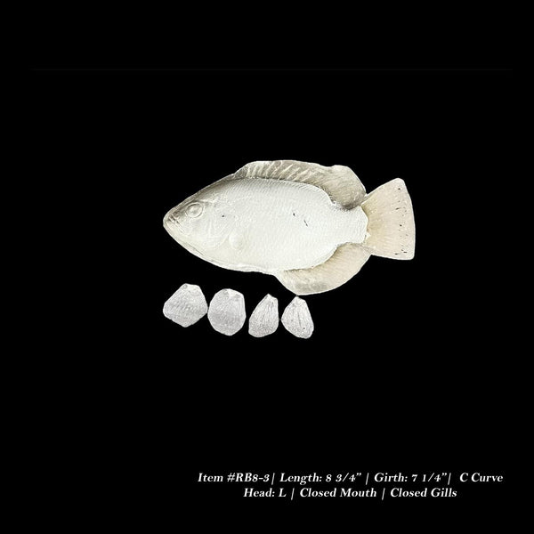 Rock Bass Reproductions - Blanks by Matt Welsh