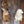 Load image into Gallery viewer, Semi Sneak Whitetail Forms - Kinser Series