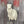 Load image into Gallery viewer, Semi Upright Offset Whitetail Forms - McCredie Series