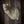 Load image into Gallery viewer, Semi Sneak Whitetail Forms - McCredie Series