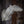 Load image into Gallery viewer, Semi Sneak Whitetail Forms - McCredie Series