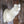 Load image into Gallery viewer, Semi Sneak Whitetail Forms - McCredie Series