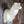 Load image into Gallery viewer, Semi Upright Whitetail Deer Forms - McCredie Series