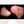 Load image into Gallery viewer, Champions Choice Whitetail Deer Flehmen Mouthpiece - Medium