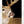 Load image into Gallery viewer, Champions Choice Whitetail Deer Flehmen Mouthpiece - Medium