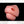 Load image into Gallery viewer, Champions Choice Whitetail Deer Split Lip Mouthpiece - Medium