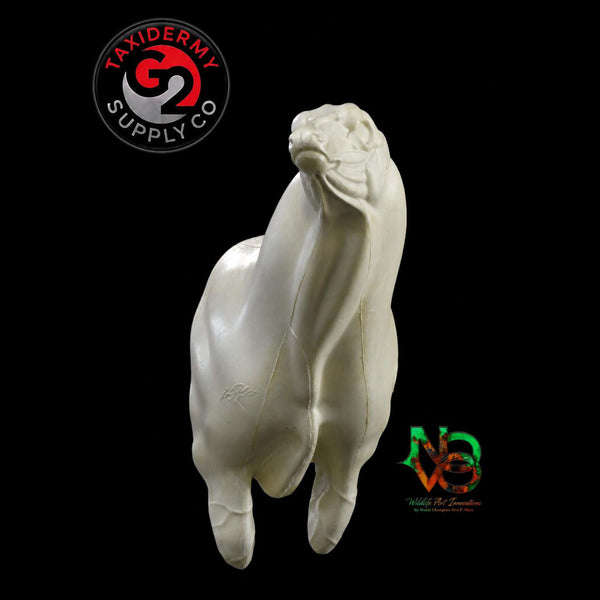 Semi Sneak Head Up Whitetail Deer - NOVO by Wes Mote