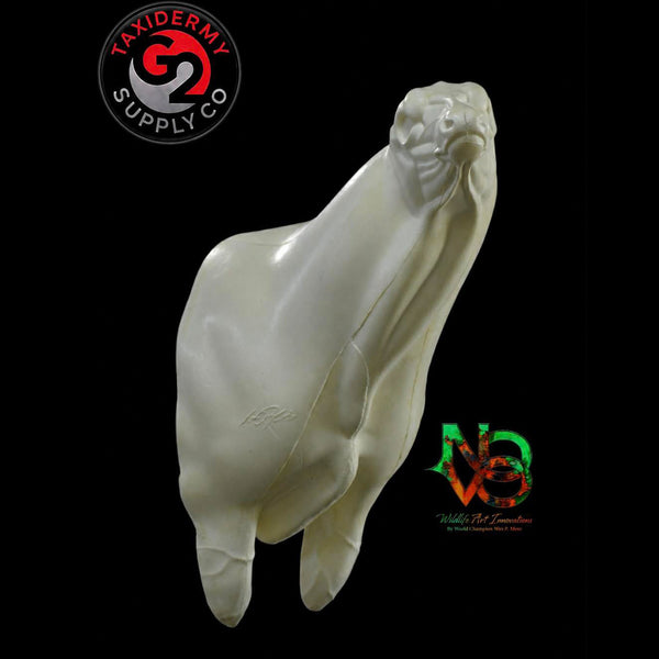 Semi Sneak Head Up Whitetail Deer - NOVO by Wes Mote
