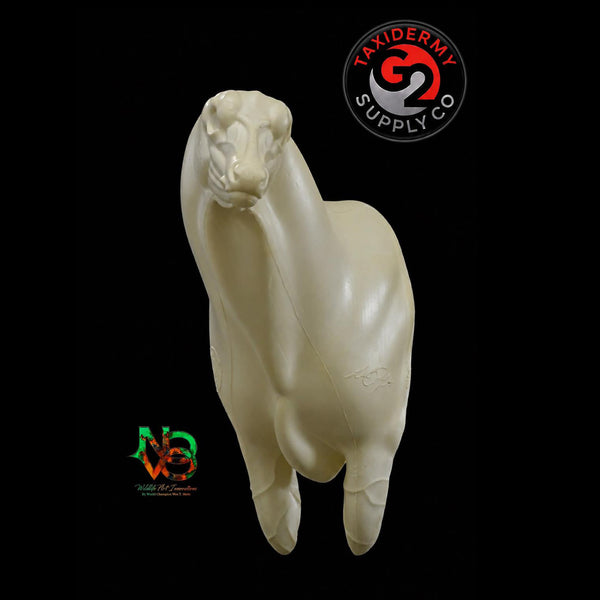 Semi Upright Whitetail Deer - NOVO by Wes Mote