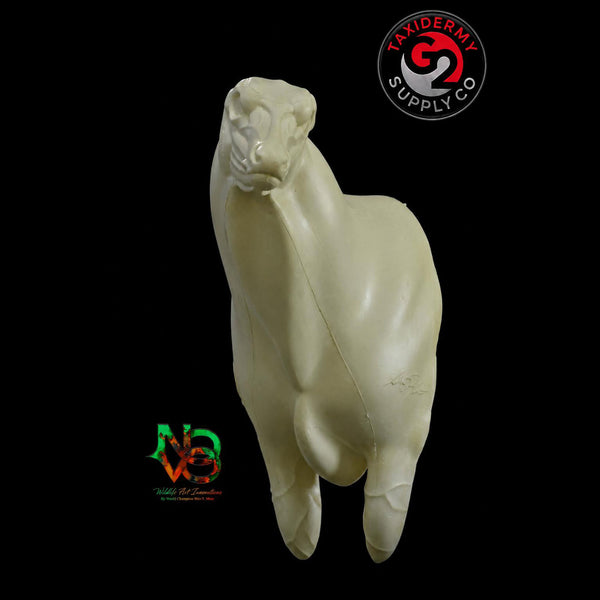 Semi Upright Whitetail Deer - NOVO by Wes Mote