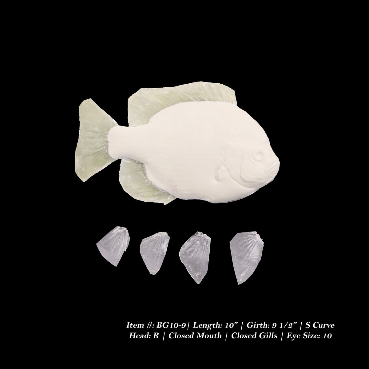 Bluegill Reproductions - Blanks by Matt Welsh