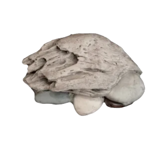 Bravo River Rocks