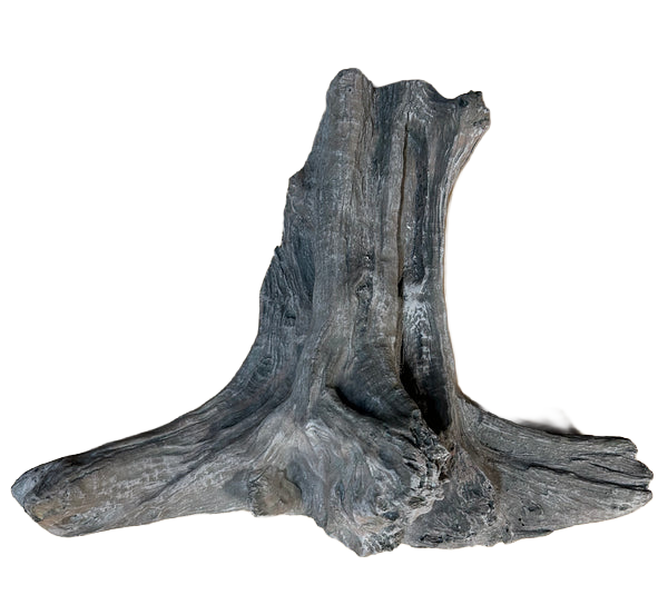 Cypress Limb