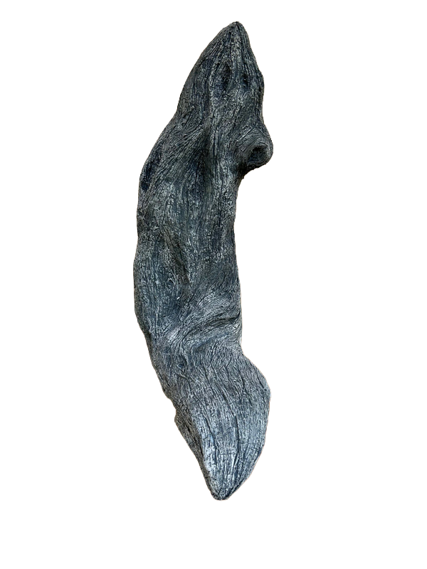 Diamond Willow Single Branch