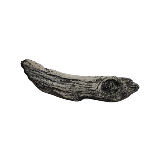 Artificial Driftwood #05