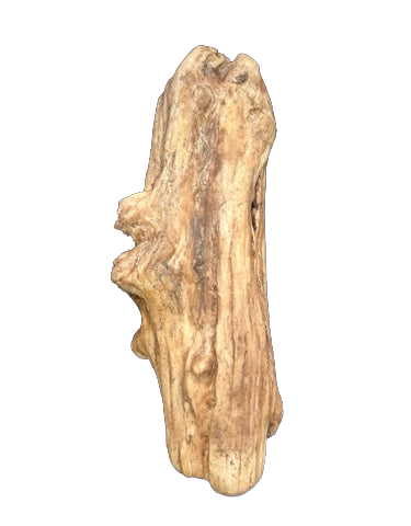 Artificial Driftwood #13