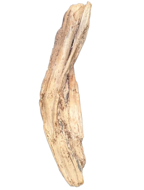 Artificial Driftwood #14