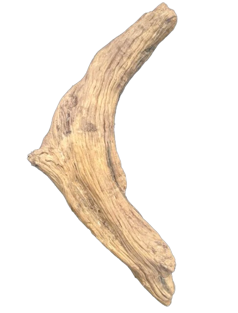 Artificial Driftwood #15