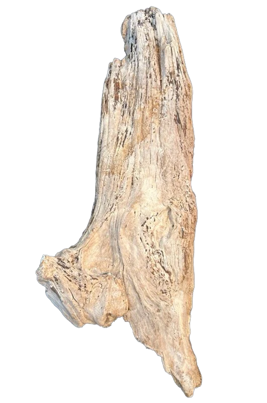 Artificial Driftwood #17