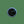 Load image into Gallery viewer, Payer Plus - Whitetail Deer Eyes
