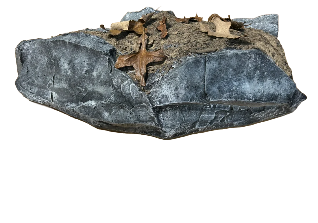 Habitat Rock