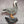 Load image into Gallery viewer, Large Single Wall Rock
