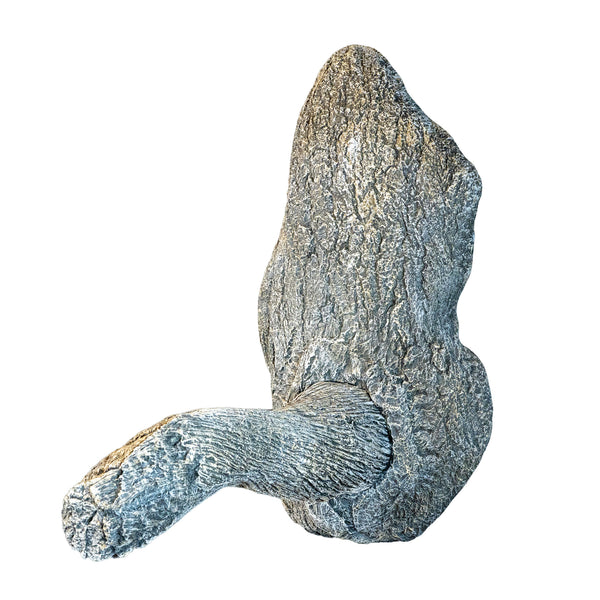 Turkey Limb by Jeff Crawford