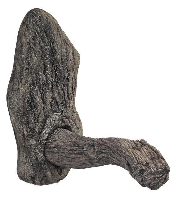 Turkey Limb by Jeff Crawford