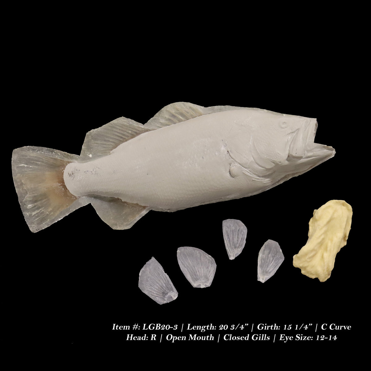 Largemouth Bass Reproductions - Blanks by Matt Welsh