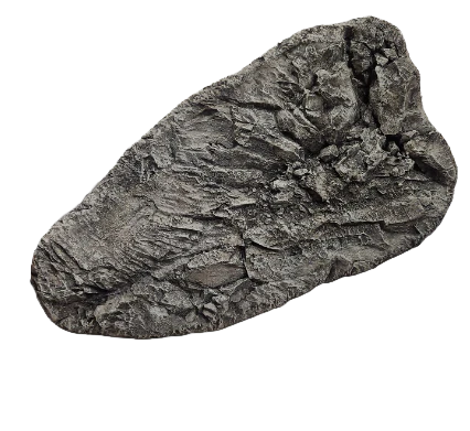 Large Flat Wall Rock