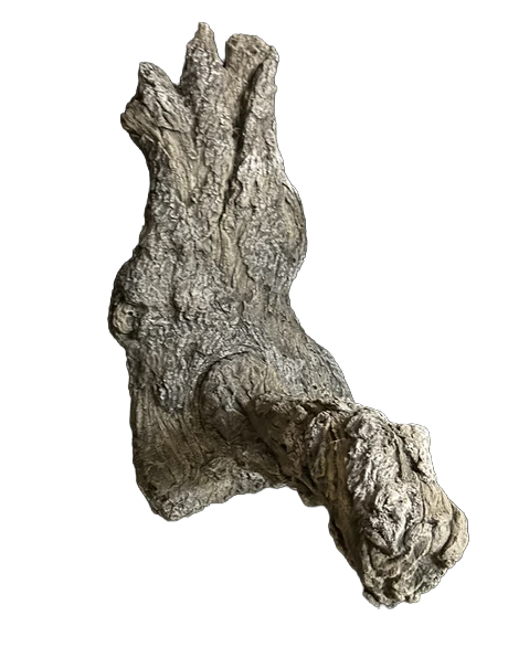 Large Split Branch Turkey Limb