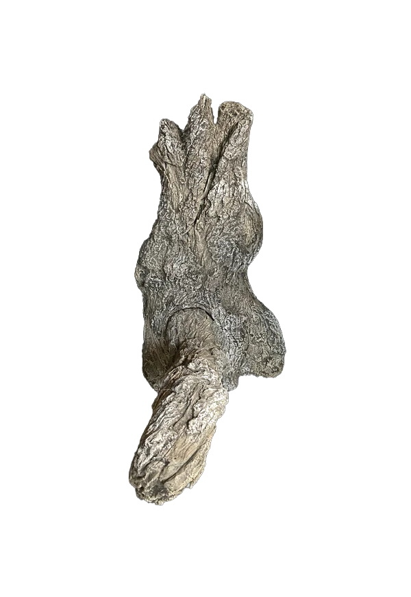 Large Split Branch Turkey Limb