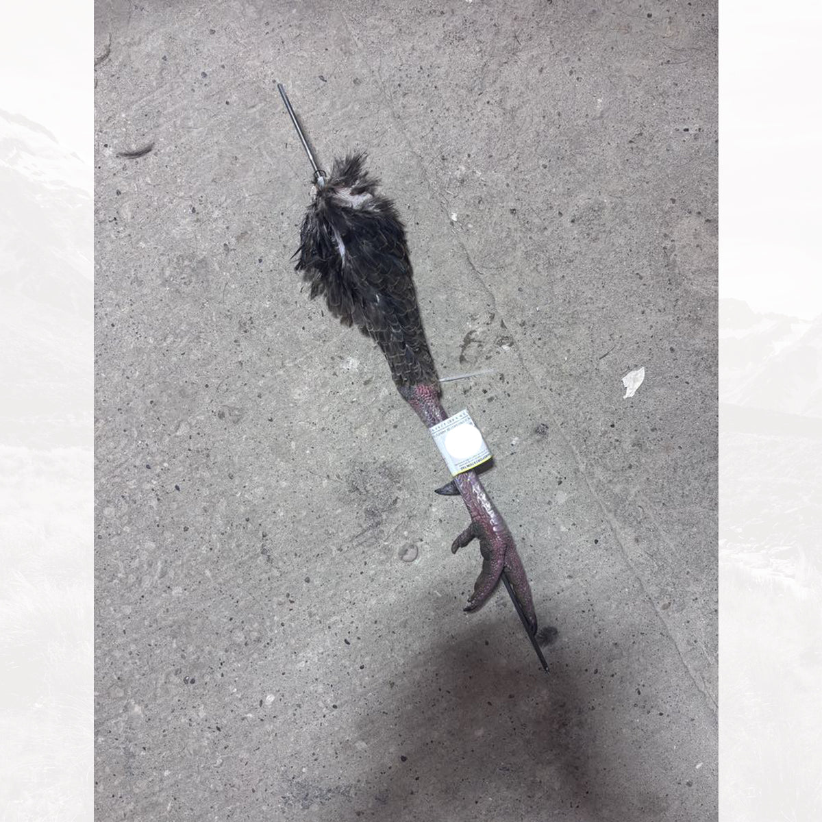 Turkey Leg Rods 3/16