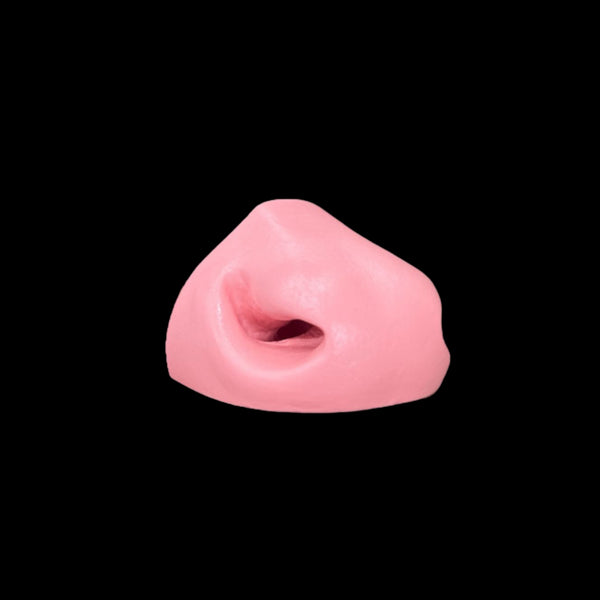 Whitetail Deer Replacement Nose by Matt Welsh