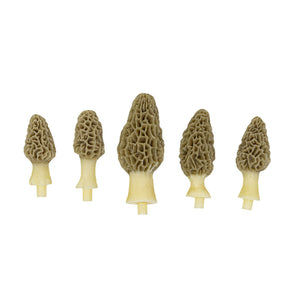 Artificial Morel Mushrooms