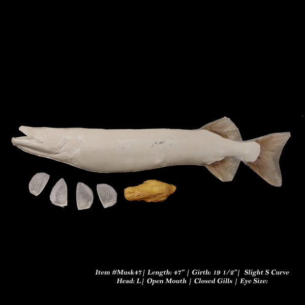 Muskie Reproductions - Blanks by Matt Welsh