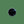 Load image into Gallery viewer, Payer Plus - Whitetail Deer Eyes
