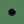 Load image into Gallery viewer, Payer Plus - Whitetail Deer Eyes
