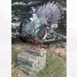 Mayan Rock Base - By Larissa Eastman