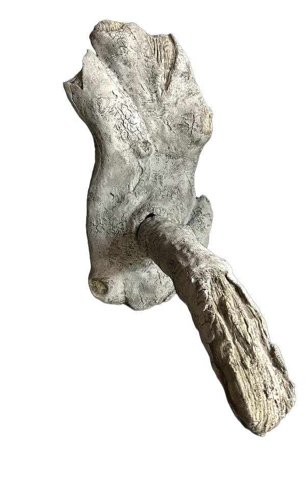 Old Beech Roost Branch