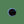 Load image into Gallery viewer, Payer Plus - Whitetail Deer Eyes
