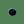 Load image into Gallery viewer, Payer Plus - Whitetail Deer Eyes
