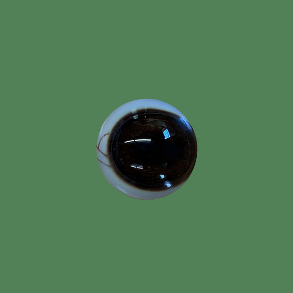 Payer Plus - Whitetail Deer Eyes