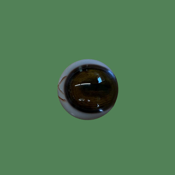 Payer Plus - Whitetail Deer Eyes