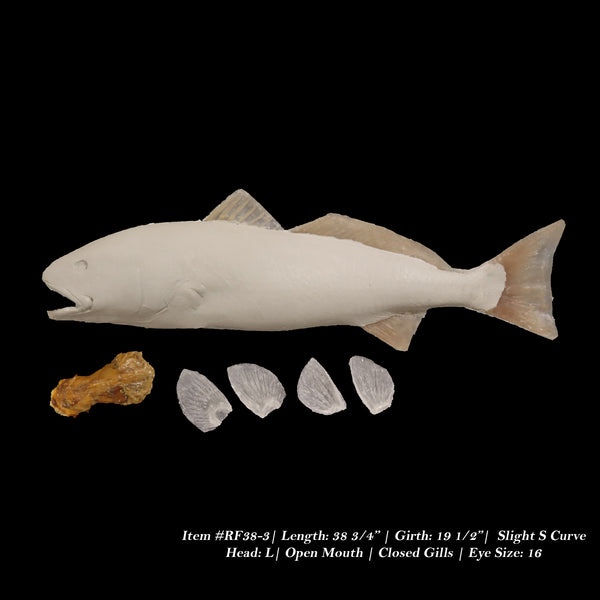 Redfish Reproductions - Blanks by Matt Welsh